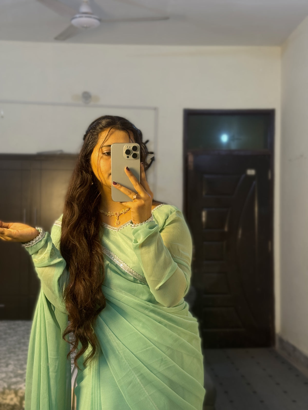 Sage Green Chiffon Saree