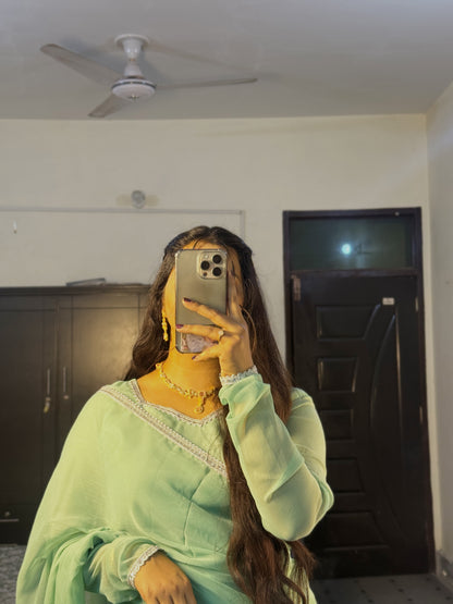 Sage Green Chiffon Saree